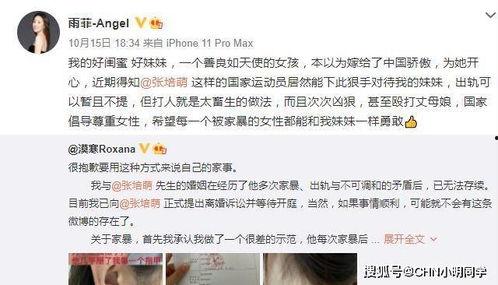 爆料往期视频怎么找,深度解析爆料背后的故事